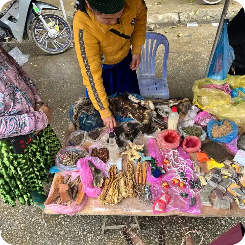 A stallholder laying out herbs and goods on a cloth at a local market