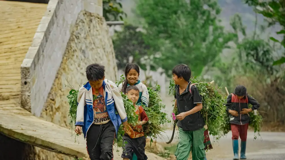Children carrying bundles of greens along a path beside a stone wall