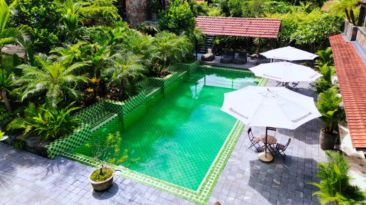 The pool and terrace from above, ringed by palms and umbrellas