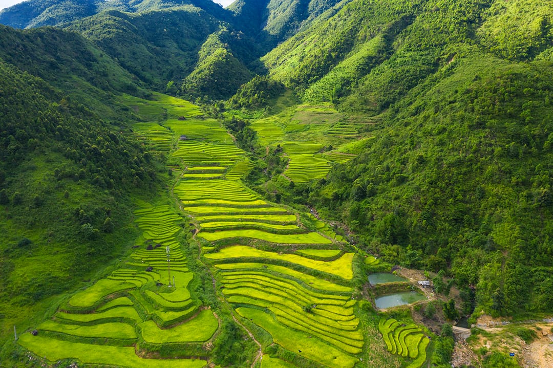 A valley of bright green paddy terraces between steep hills
